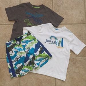 Hartstrings Kitestrings Boys Sharks and Surf Boards Shirts and Swim Shorts